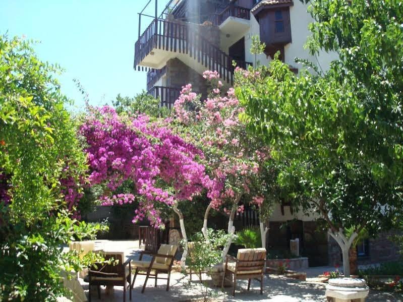 Neptun Hotel سيدي المظهر الخارجي الصورة